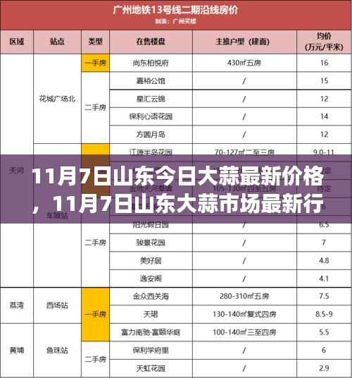 山东大蒜最新行情报道，价格动态与市场分析（11月7日）