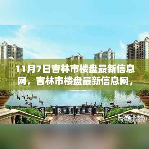 揭秘吉林市楼盘最新动态,11月7日背后的故事与深远影响