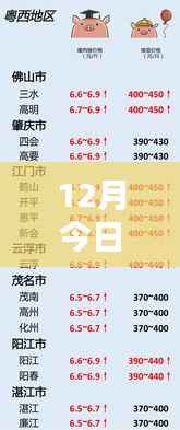 广东猪价走势分析,热门价格及趋势预测在十二月揭晓