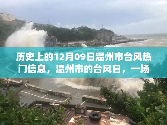 温馨风中奇遇,温州市台风日的历史回顾与热门信息