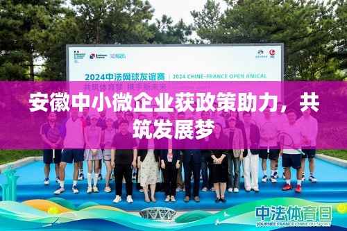 安徽中小微企业获政策助力,共筑发展梦