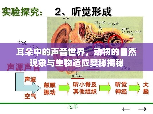 天生万物，唯人为贵