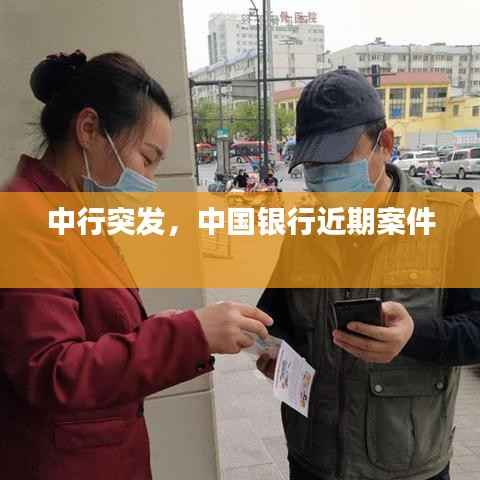 布衣蔬食