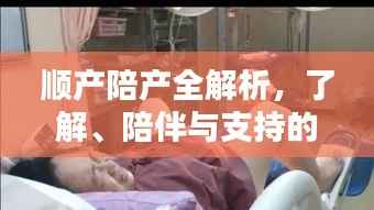 顺产陪产全解析,了解、陪伴与支持的重要性