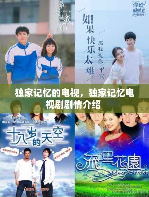 独家记忆的电视,独家记忆电视剧剧情介绍