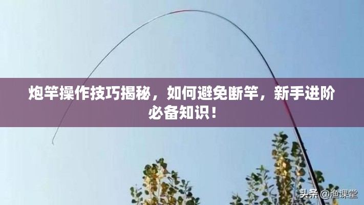 炮竿操作技巧揭秘,如何避免断竿,新手进阶必备知识!