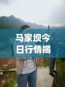 马家坝今日行情揭秘,最新动态一网打尽