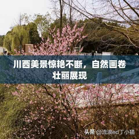 悬驼就石