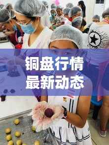 铜盘行情最新动态解析