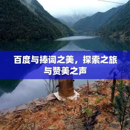 百度与捧词之美,探索之旅与赞美之声
