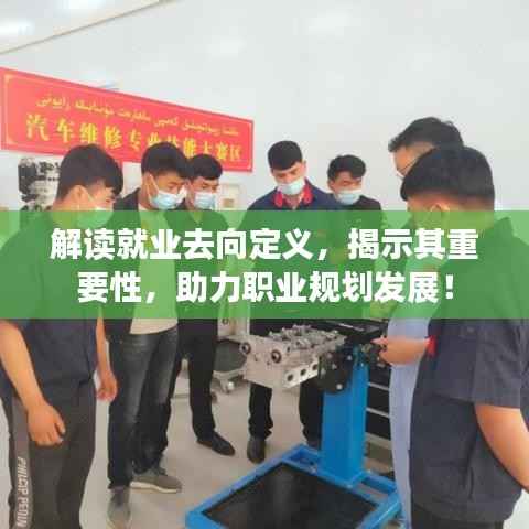 解读就业去向定义,揭示其重要性,助力职业规划发展!