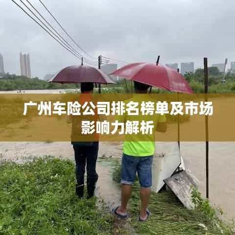 广州车险公司排名榜单及市场影响力解析