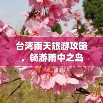 台湾雨天旅游攻略,畅游雨中之岛