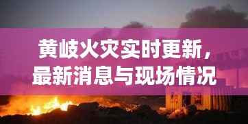 黄岐火灾实时更新,最新消息与现场情况揭秘