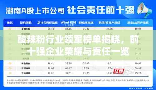 酸辣粉行业领军榜单揭晓,前十强企业荣耀与责任一览