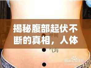揭秘腹部起伏不断的真相,人体奥秘大解密