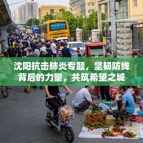 沈阳抗击肺炎专题，坚韧防线背后的力量，共筑希望之城