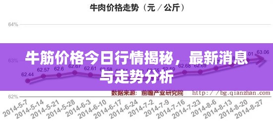牛筋价格今日行情揭秘,最新消息与走势分析