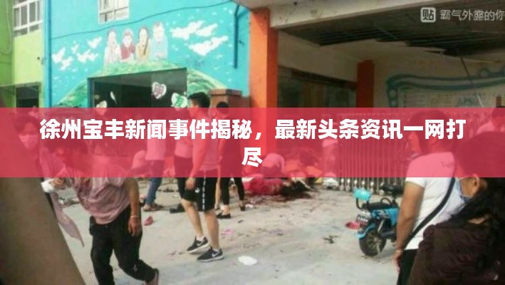 徐州宝丰新闻事件揭秘,最新头条资讯一网打尽