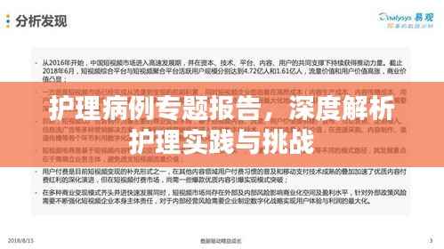 护理病例专题报告,深度解析护理实践与挑战
