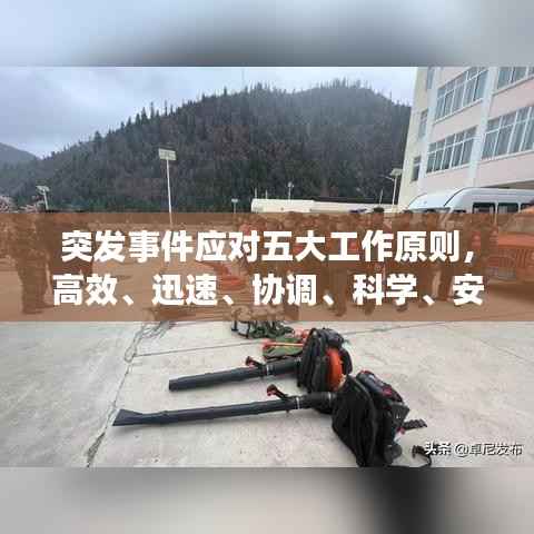 突发事件应对五大工作原则,高效、迅速、协调、科学、安全应对挑战