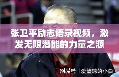 张卫平励志语录视频，激发无限潜能的力量之源