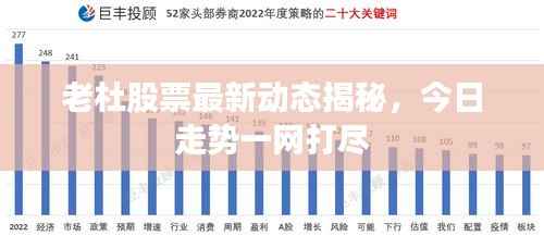 老杜股票最新动态揭秘,今日走势一网打尽