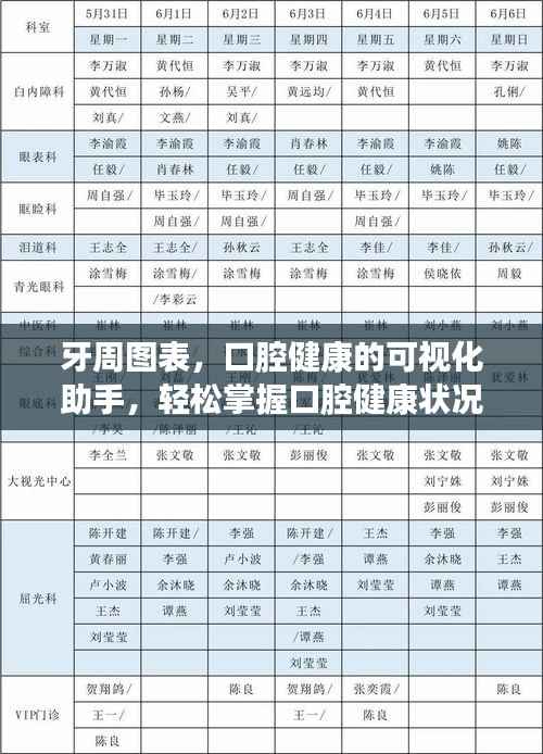 牙周图表,口腔健康的可视化助手,轻松掌握口腔健康状况