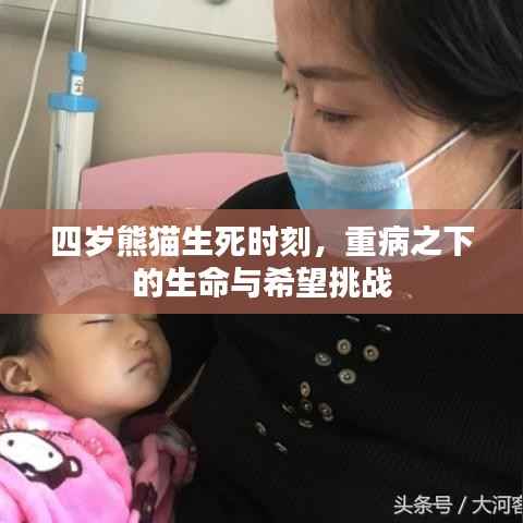 四岁熊猫生死时刻，重病之下的生命与希望挑战