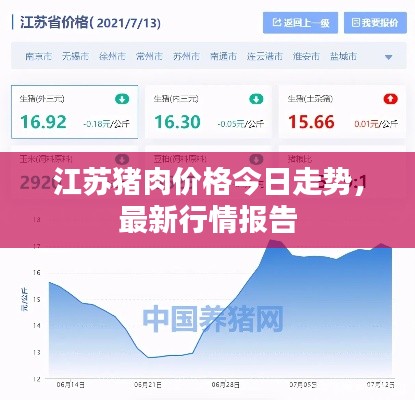 江苏猪肉价格今日走势,最新行情报告