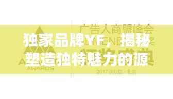 独家品牌YF，揭秘塑造独特魅力的源泉