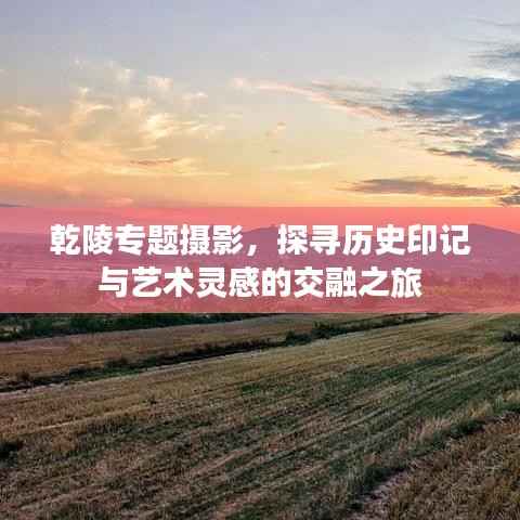 乾陵专题摄影，探寻历史印记与艺术灵感的交融之旅