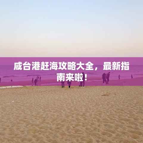 咸台港赶海攻略大全，最新指南来啦！