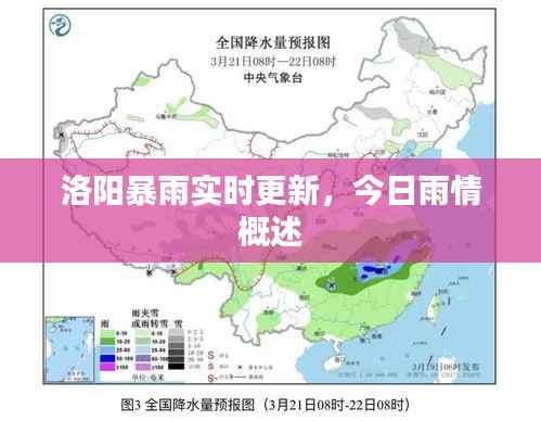 洛阳暴雨实时更新，今日雨情概述