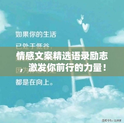 情感文案精选语录励志,激发你前行的力量!