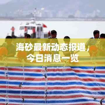 海砂最新动态报道，今日消息一览