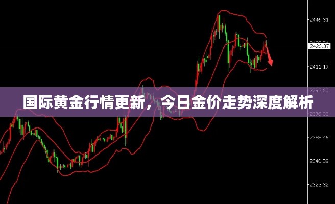 国际黄金行情更新,今日金价走势深度解析