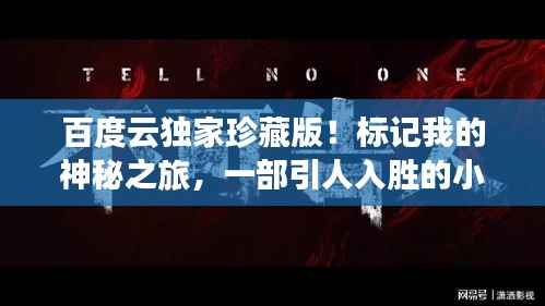 百度云独家珍藏版！标记我的神秘之旅，一部引人入胜的小说