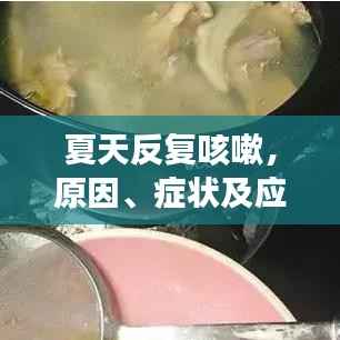 夏天反复咳嗽,原因、症状及应对之策