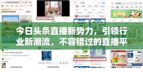 今日头条直播新势力,引领行业新潮流,不容错过的直播平台!