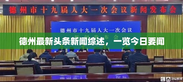 德州最新头条新闻综述,一览今日要闻