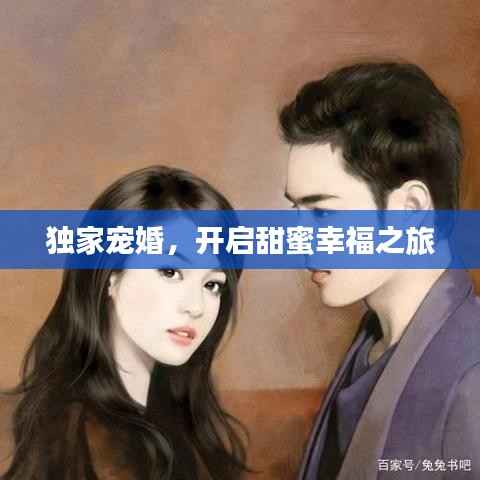 独家宠婚，开启甜蜜幸福之旅