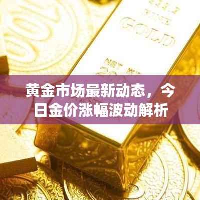 黄金市场最新动态，今日金价涨幅波动解析
