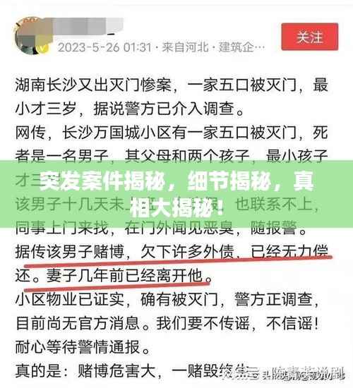 突发案件揭秘，细节揭秘，真相大揭秘！