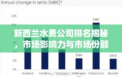 新西兰水费公司排名揭秘，市场影响力与市场份额一览无余