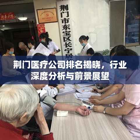 荆门医疗公司排名揭晓,行业深度分析与前景展望