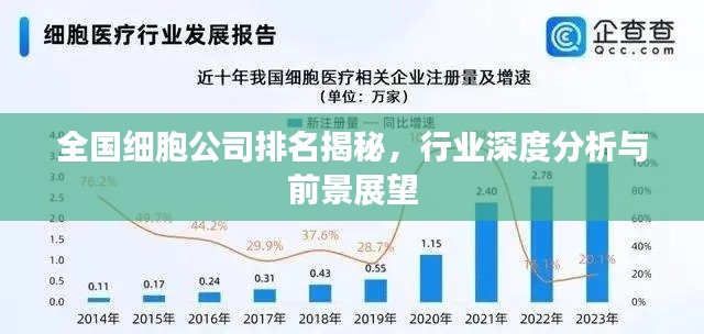 全国细胞公司排名揭秘,行业深度分析与前景展望