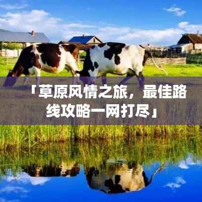「草原风情之旅,最佳路线攻略一网打尽」