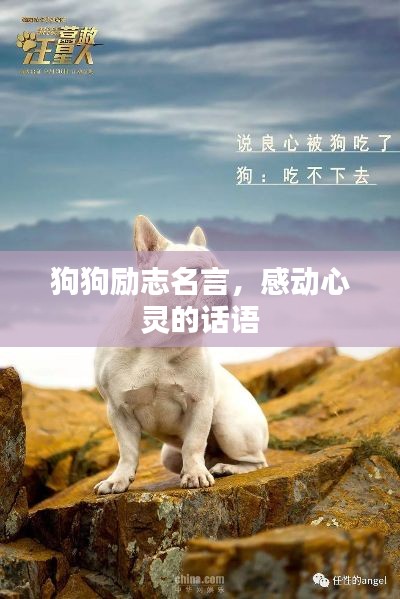 狗狗励志名言，感动心灵的话语