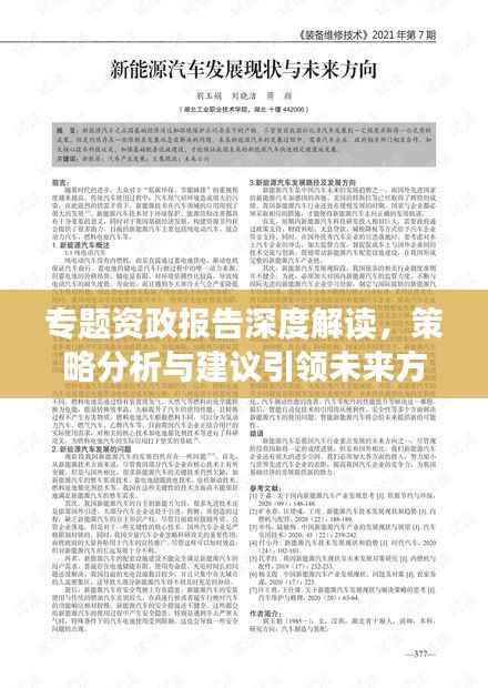 专题资政报告深度解读,策略分析与建议引领未来方向